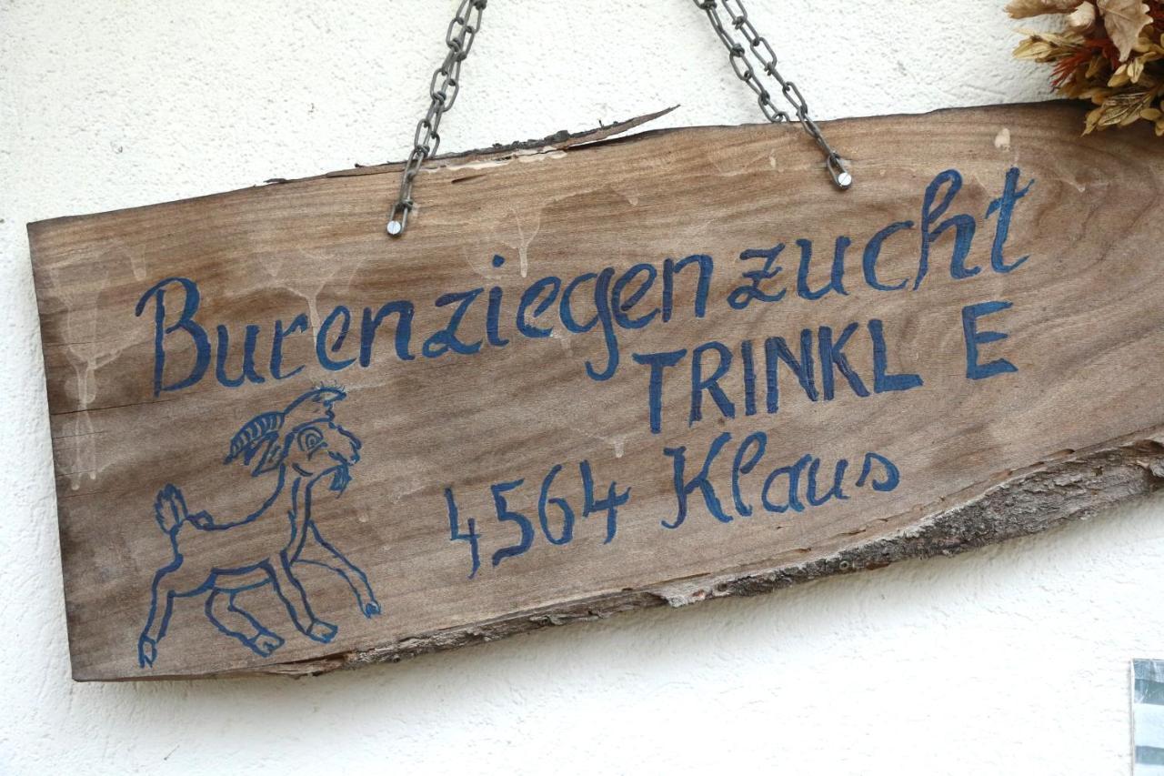 Bed and Breakfast Hof Zur Steinwaend Micheldorf in Oberösterreich Esterno foto