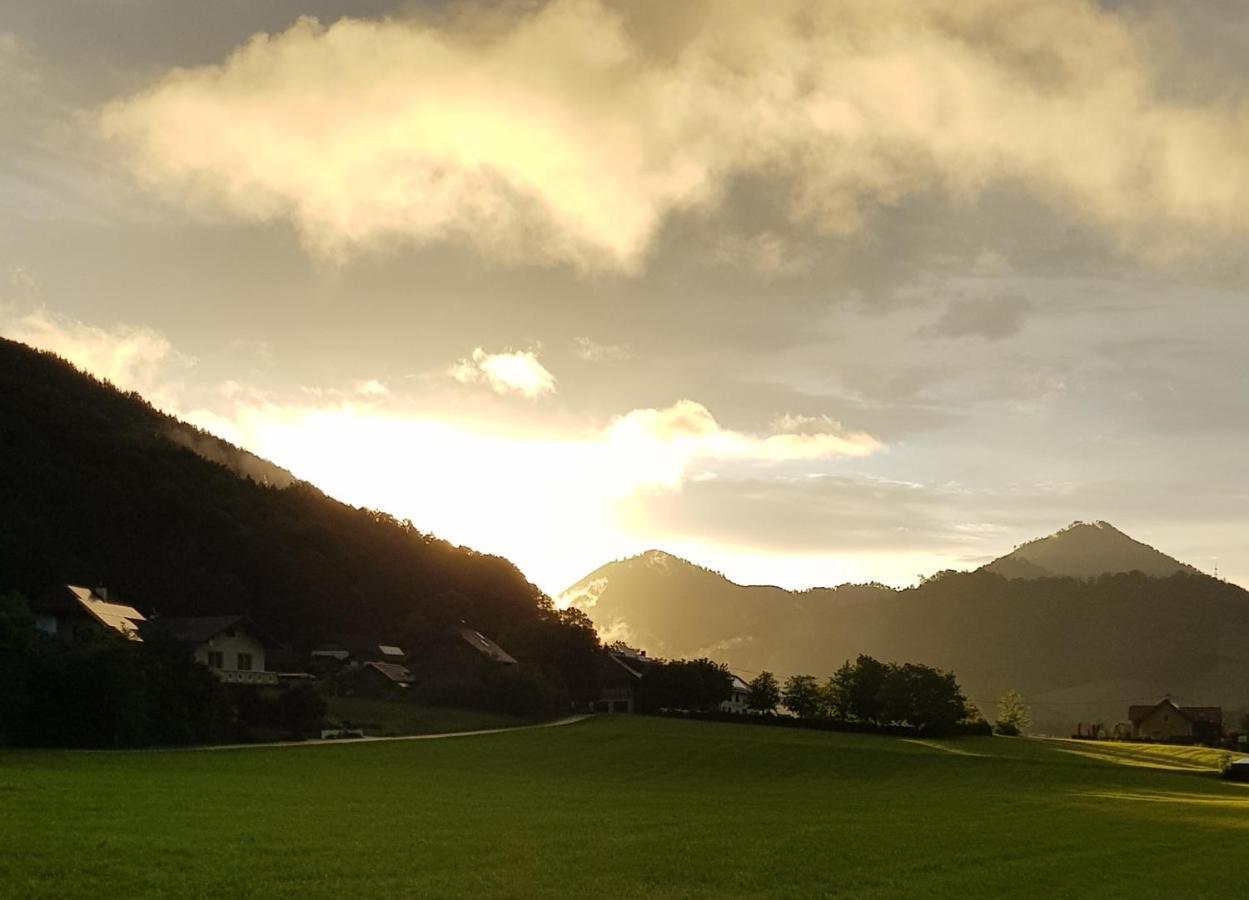 Bed and Breakfast Hof Zur Steinwaend Micheldorf in Oberösterreich Esterno foto